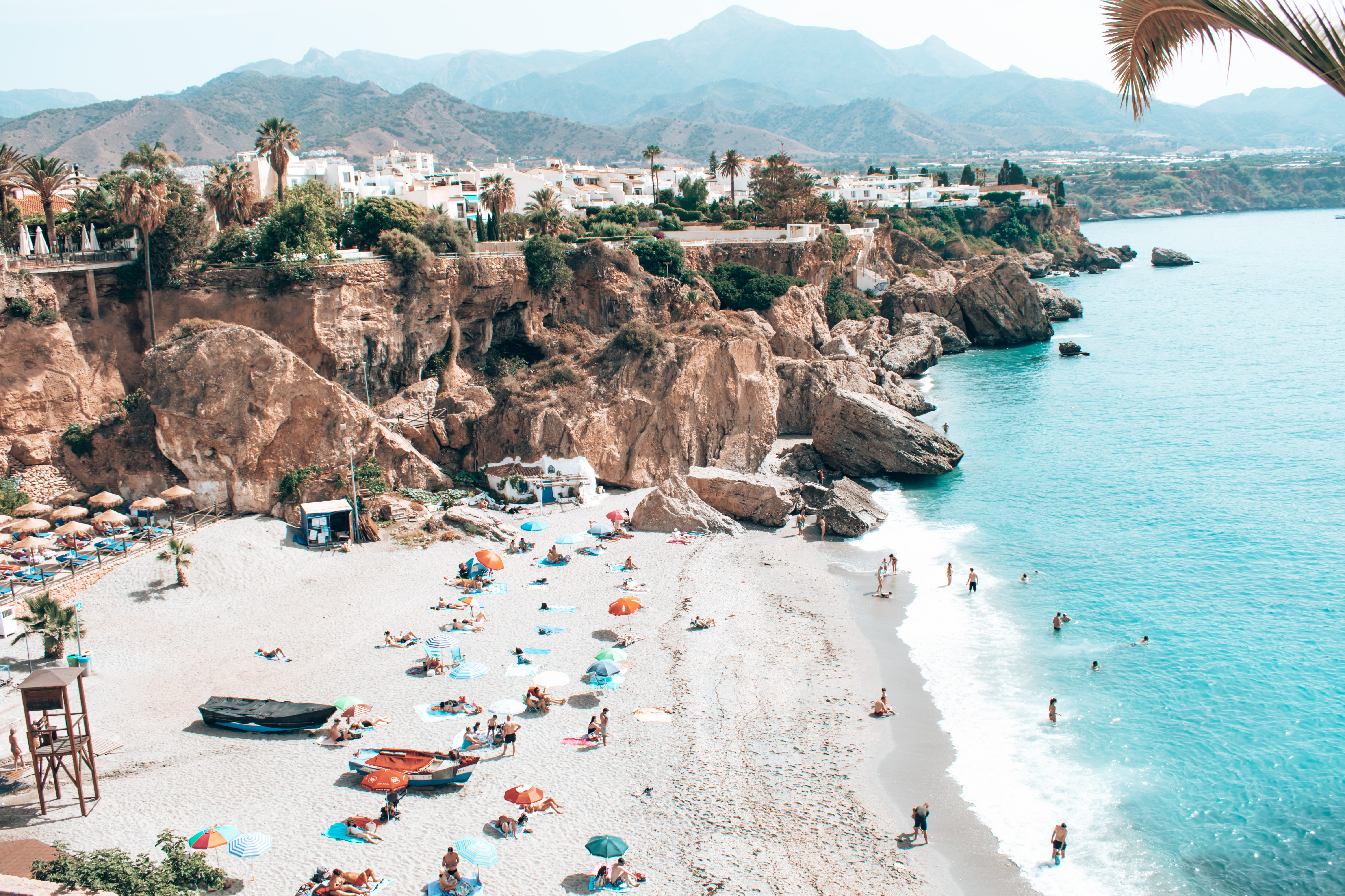 content creator, UGC, user generated content, dog content, brand, brand content, business content, brand loyalty, brand trust, instagram creator, influencer, blogger, travel blog