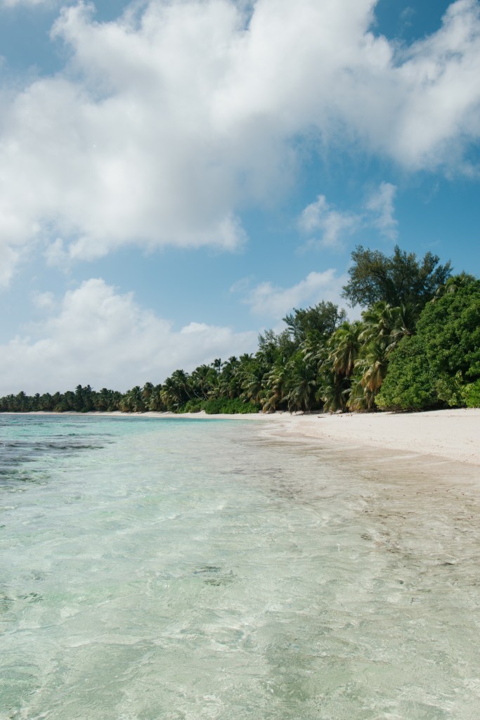 A tranquil beach scene featuring clear turquoise waters and a sandy shoreline, lined with palm trees under a partly cloudy blue sky.